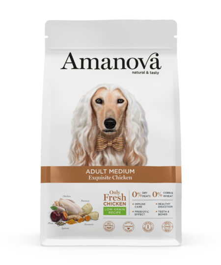 AMANOVA ADULT MEDIUM EXQUISITE CHICKEN