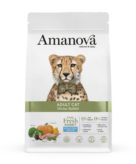 AMANOVA ADULT CAT DIVINE RABBIT