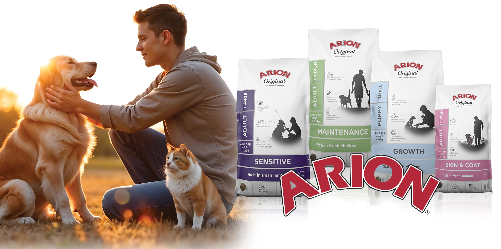 ARION-WEB-BANNER