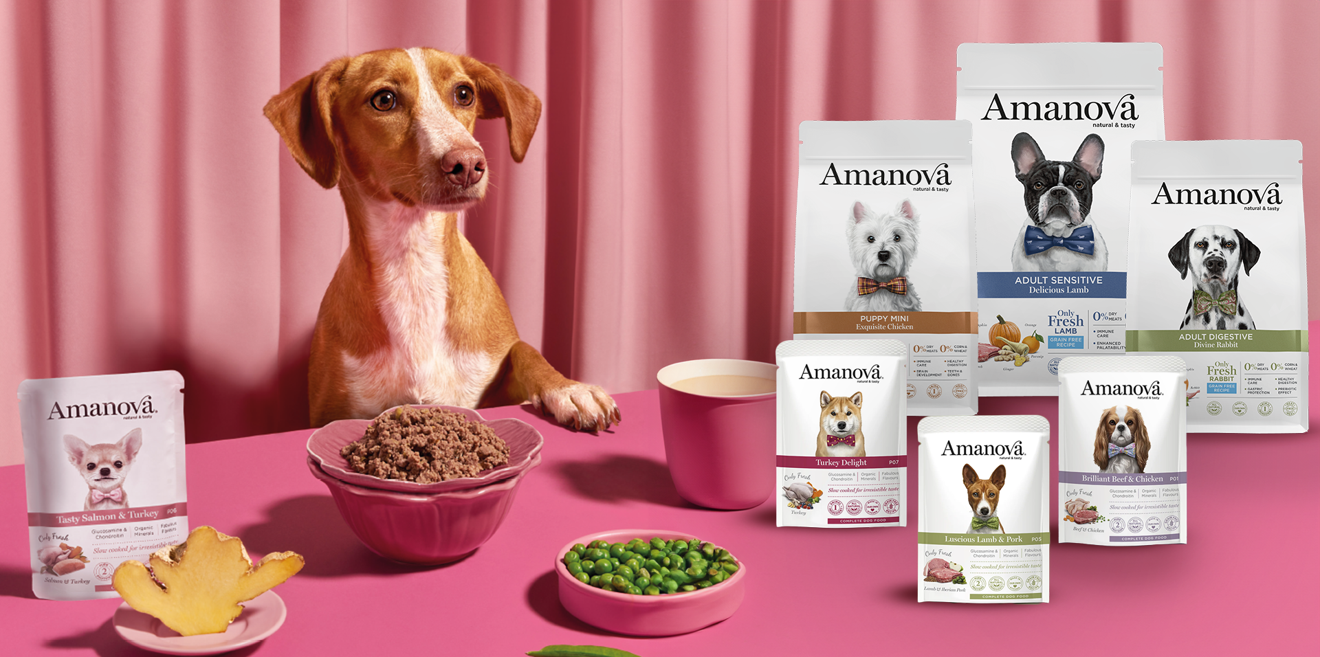 Amanova-dog